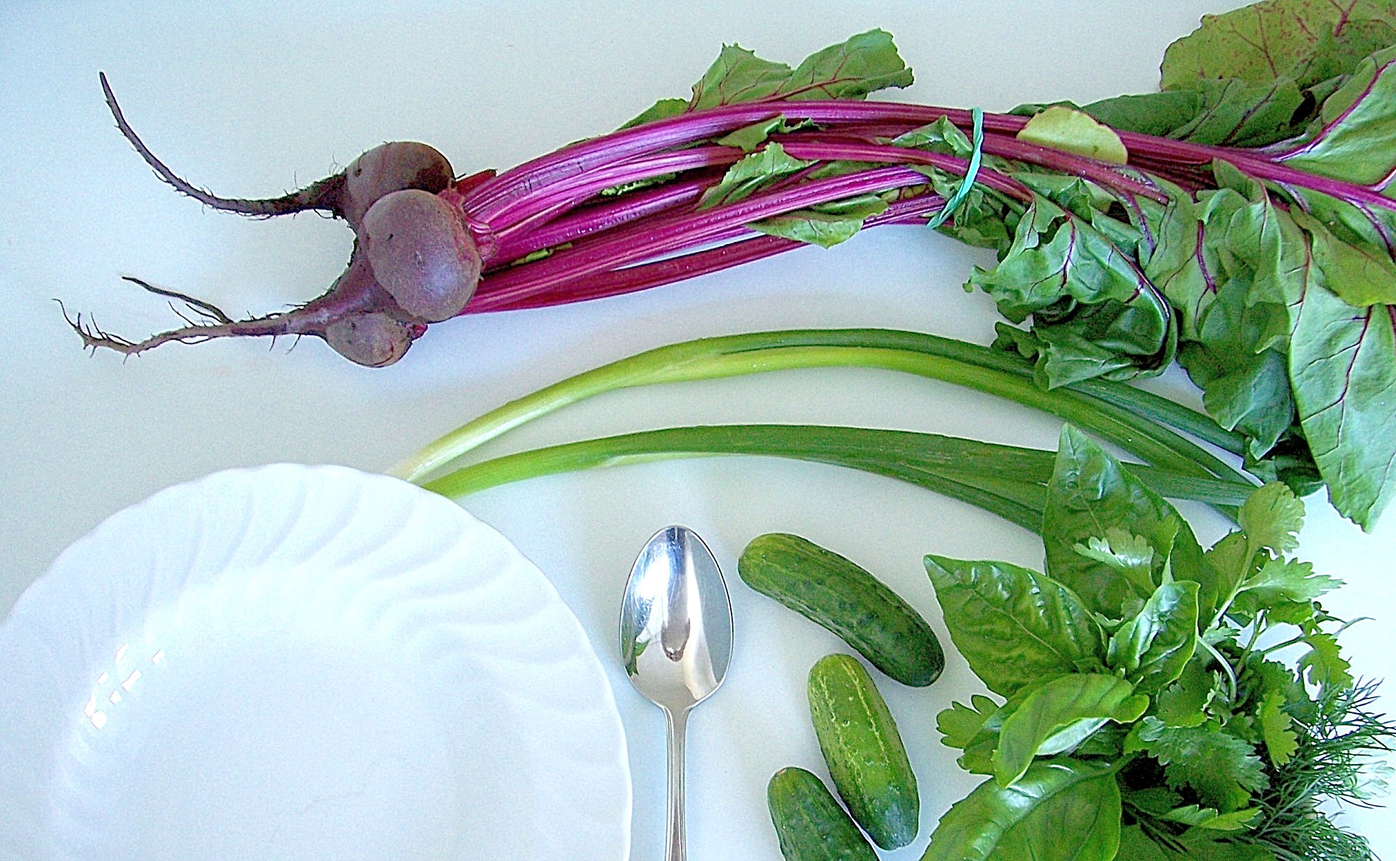 chilled beet soup with cucmber recipe02